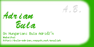 adrian bula business card